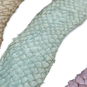 Bundle of 3 Multicolor Pirarucu Tails 6A | SALE