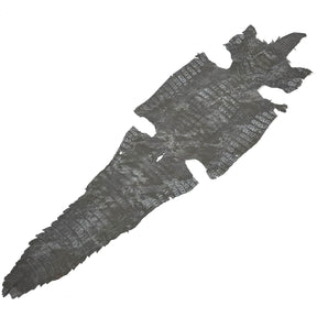 Fury Caiman Crocodile | SALE