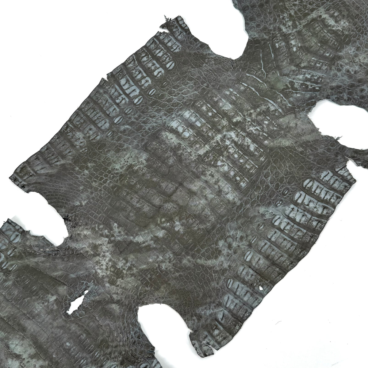 Green Fury Caiman Crocodile – Exotic Designer Skin | District Leathers