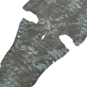 Fury Caiman Crocodile | SALE