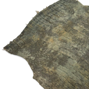 Forest Caiman Crocodile Belly | SALE