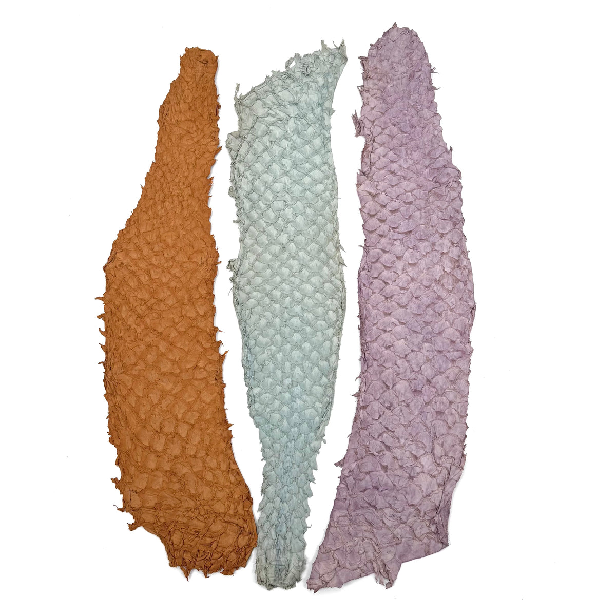 Bundle of 3 Multicolor Pirarucu Tails 10A | SALE