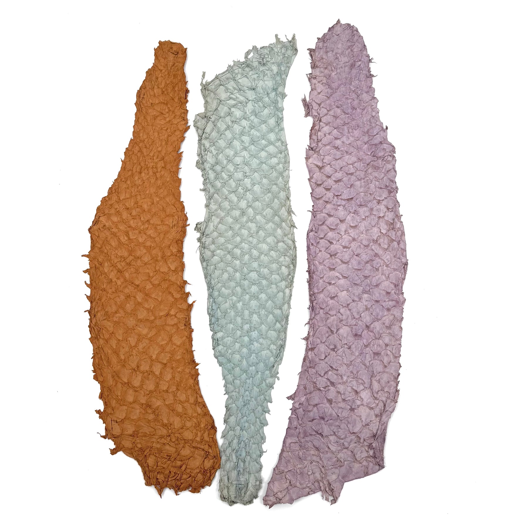 Bundle of 3 Multicolor Pirarucu Tails 10A | SALE