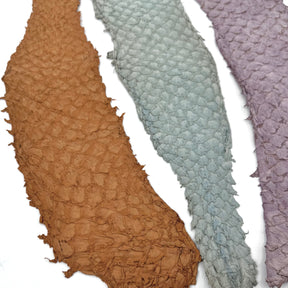 Bundle of 3 Multicolor Pirarucu Tails 10A | SALE