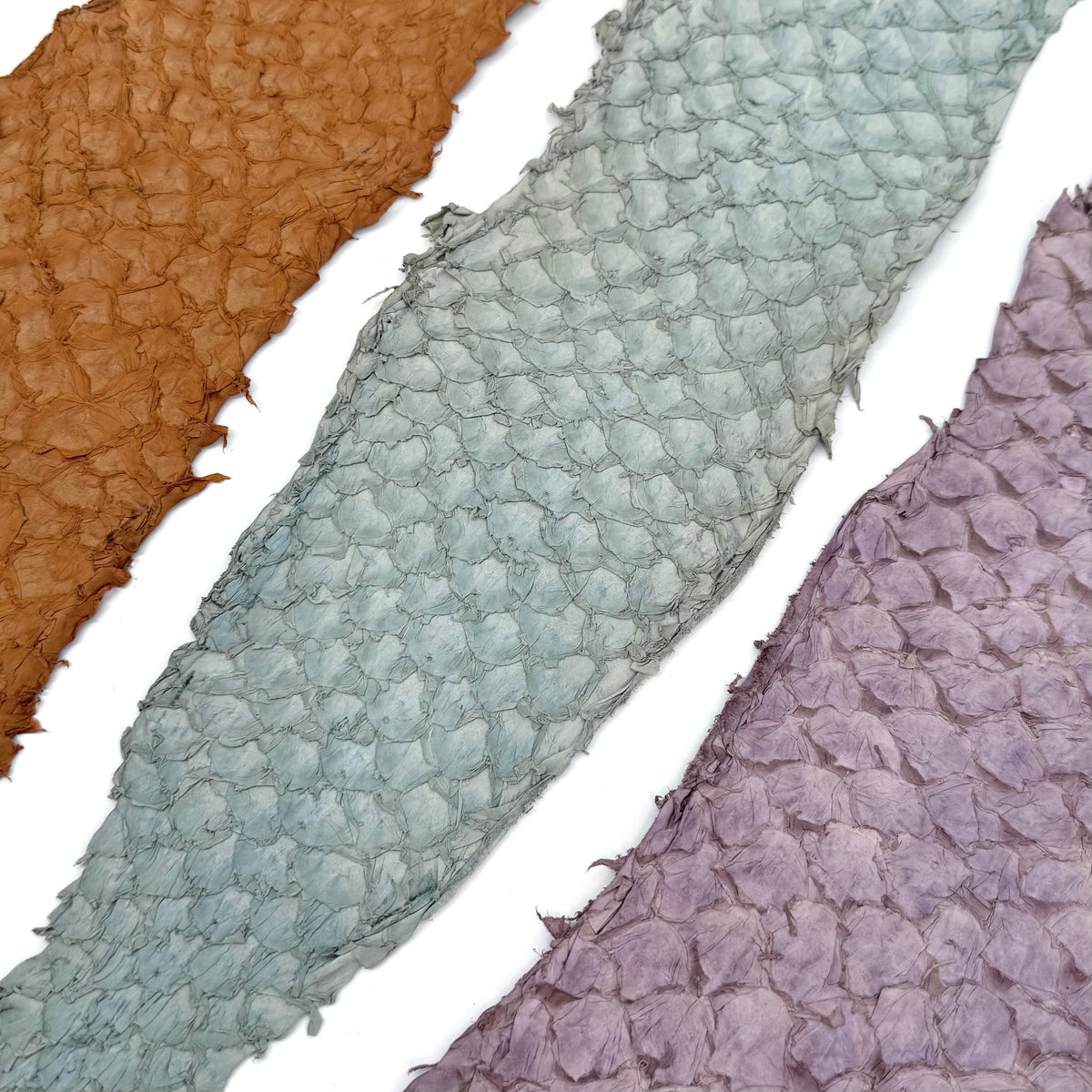 Bundle of 3 Multicolor Pirarucu Tails 10A | SALE