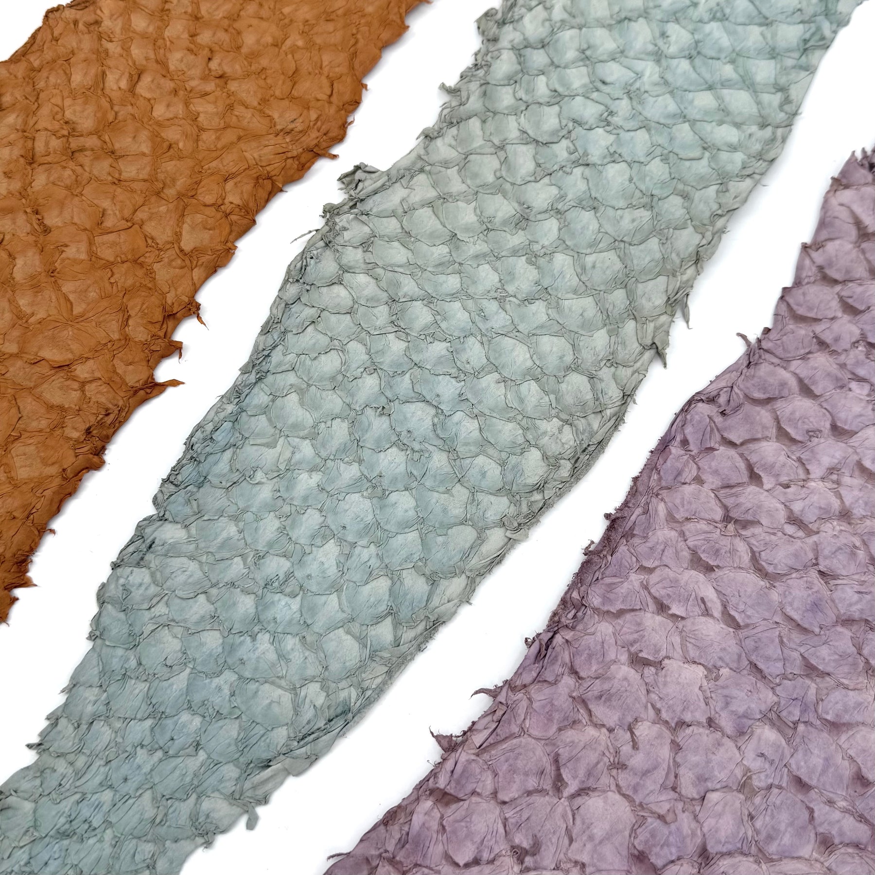 Bundle of 3 Multicolor Pirarucu Tails 10A | SALE