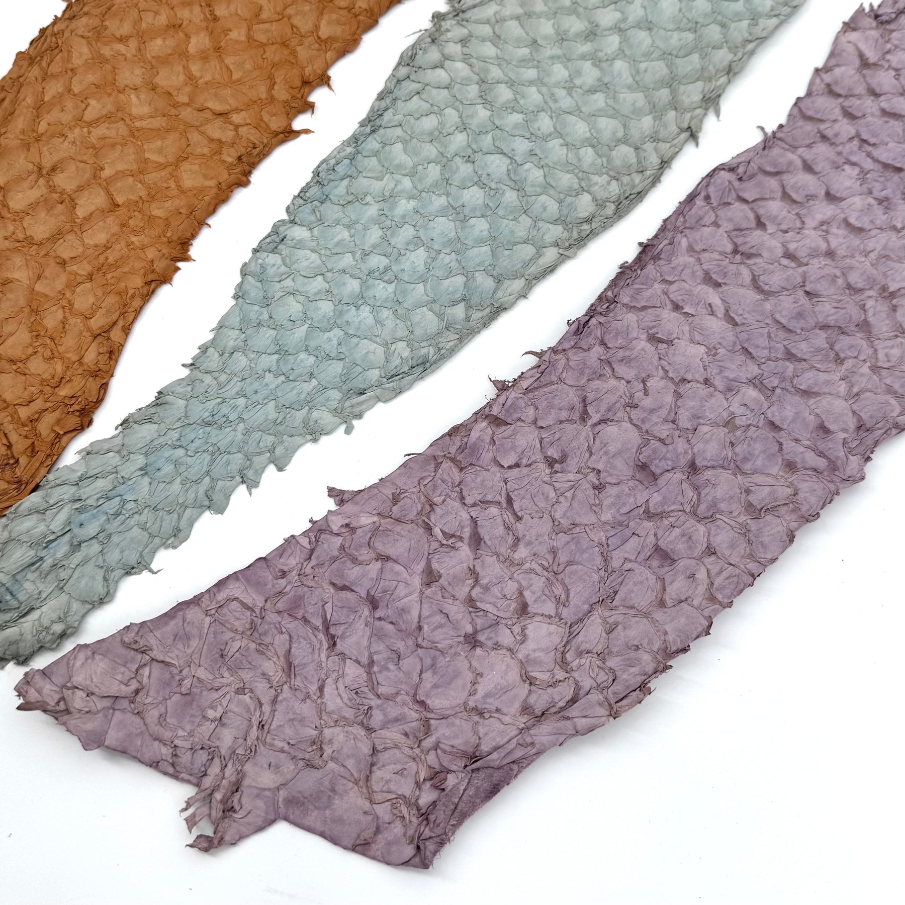 Bundle of 3 Multicolor Pirarucu Tails 10A | SALE