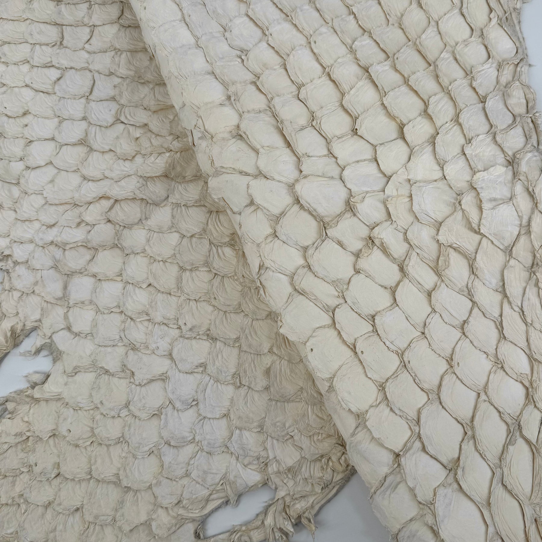 Semishiny Crust Undyed Pirarucu Fish Leather - 1 available