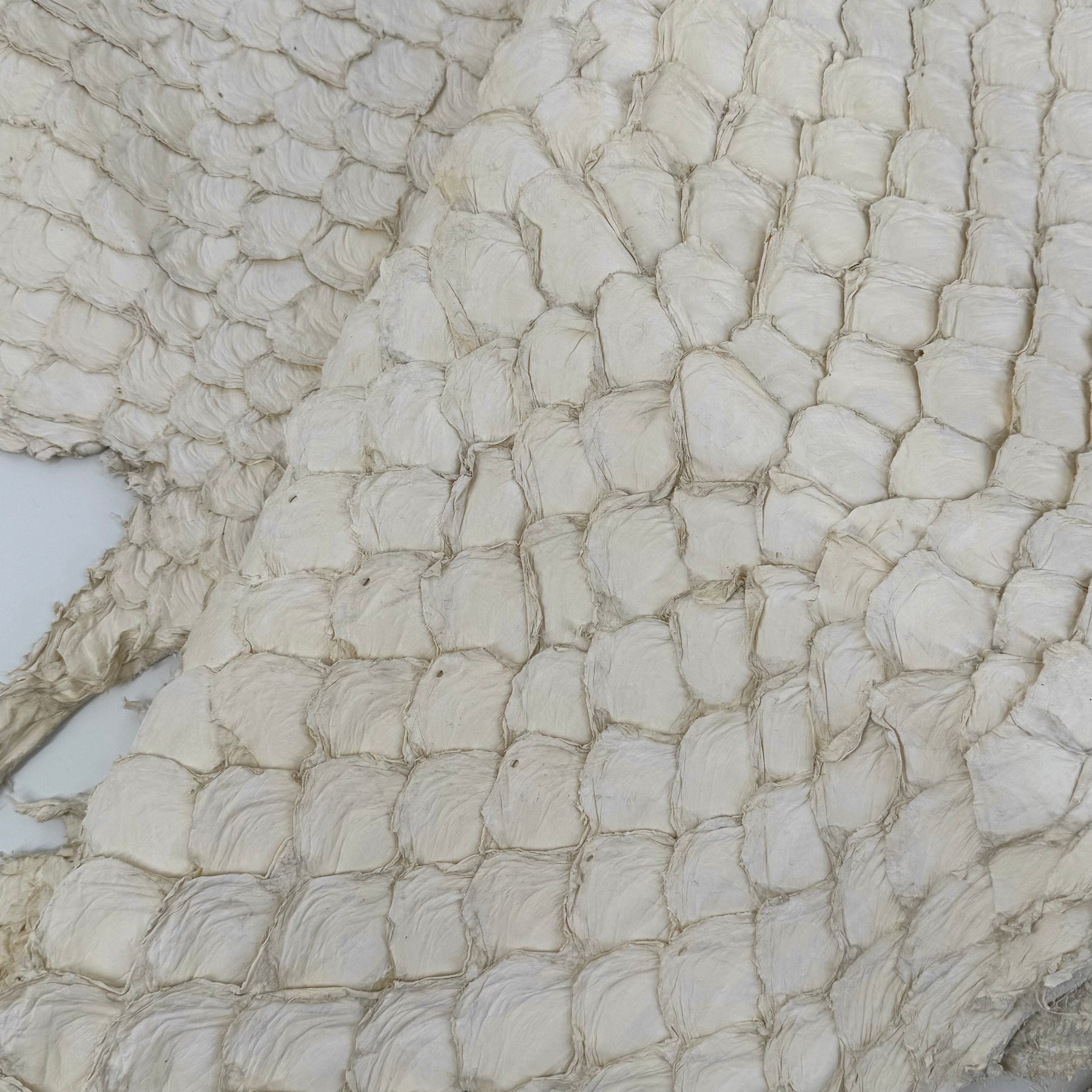 Semishiny Crust Undyed Pirarucu Fish Leather - 1 available