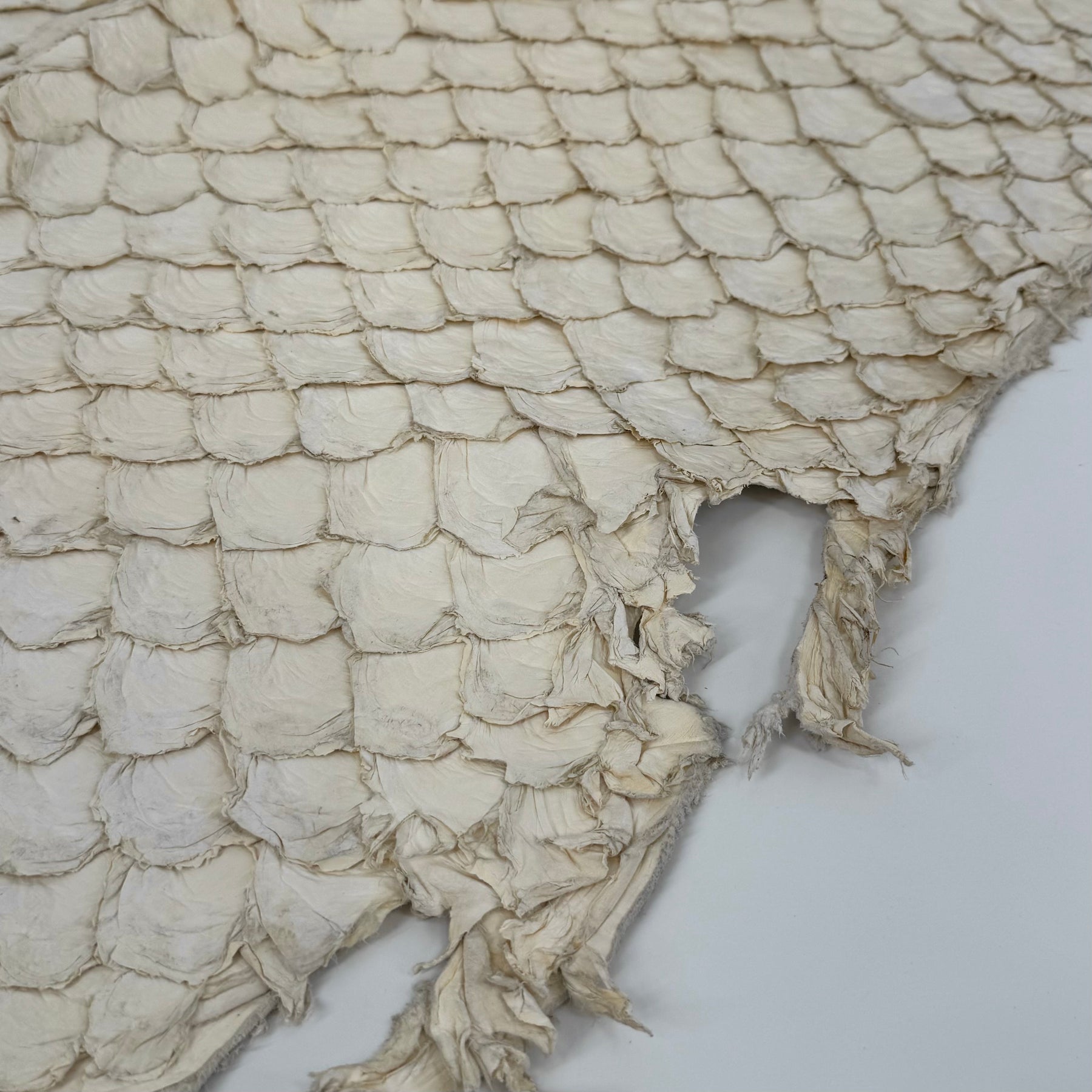 Semishiny Crust Undyed Pirarucu Fish Leather - 1 available