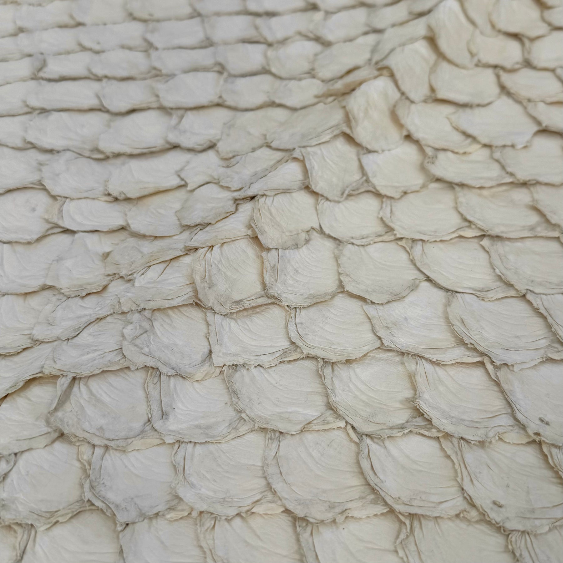 Semishiny Crust Undyed Pirarucu Fish Leather - 1 available