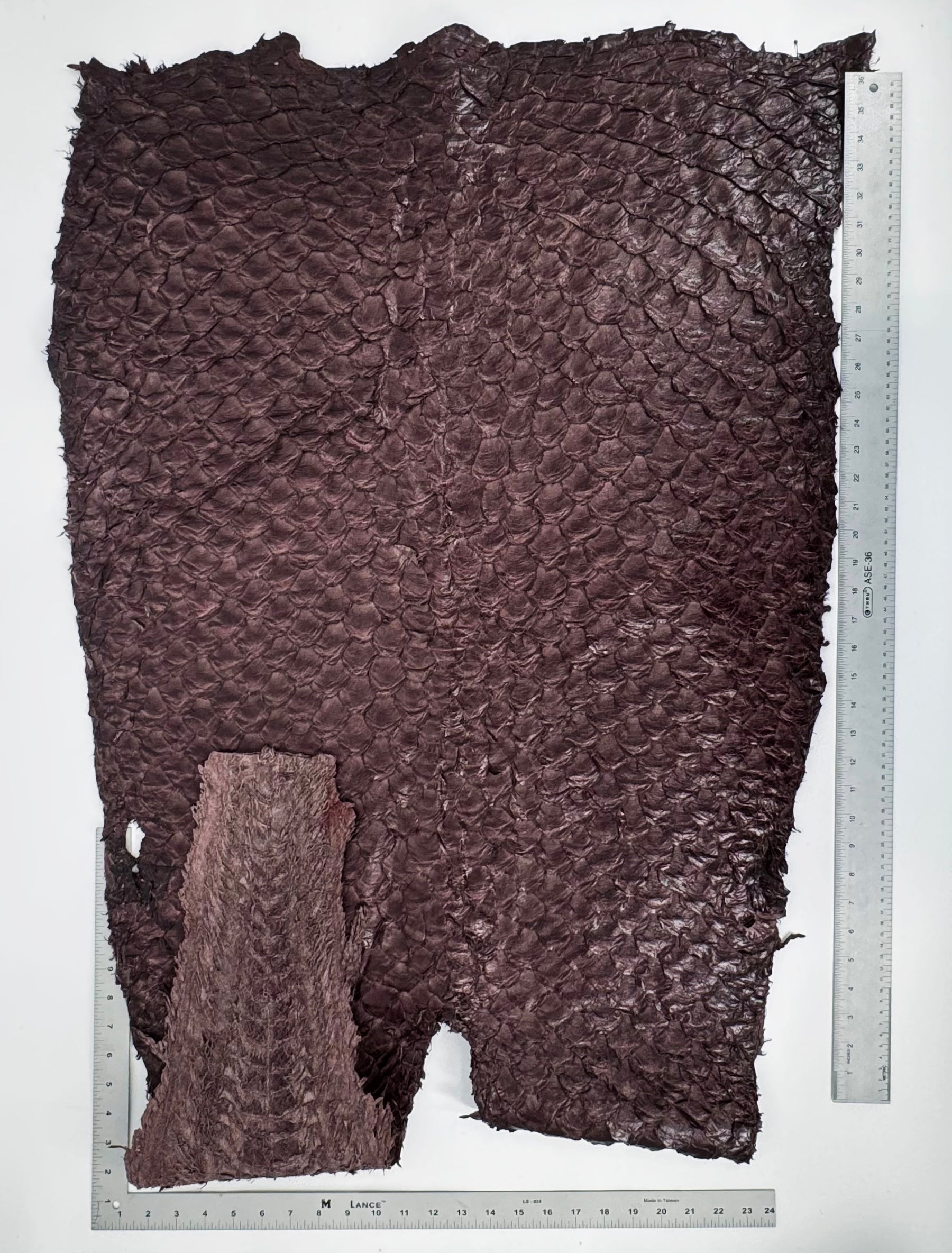 Bitter Plum Pirarucu Fish Leather