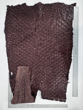 Bitter Plum Pirarucu Fish Leather