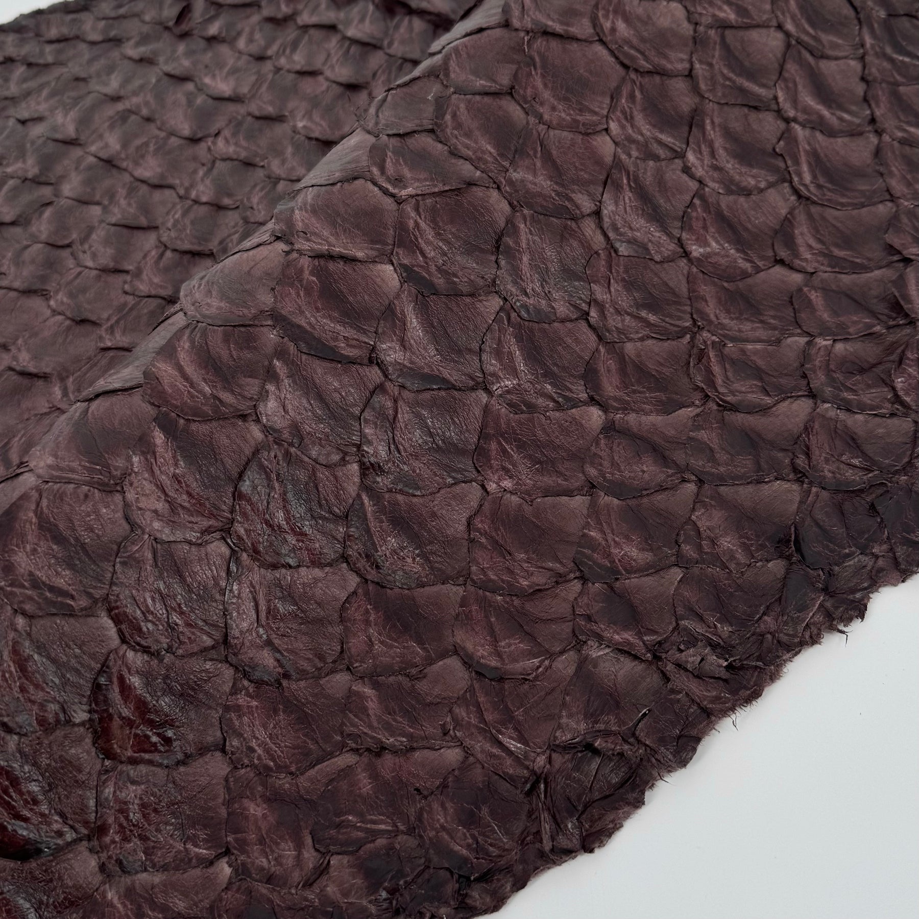 Bitter Plum Pirarucu Fish Leather