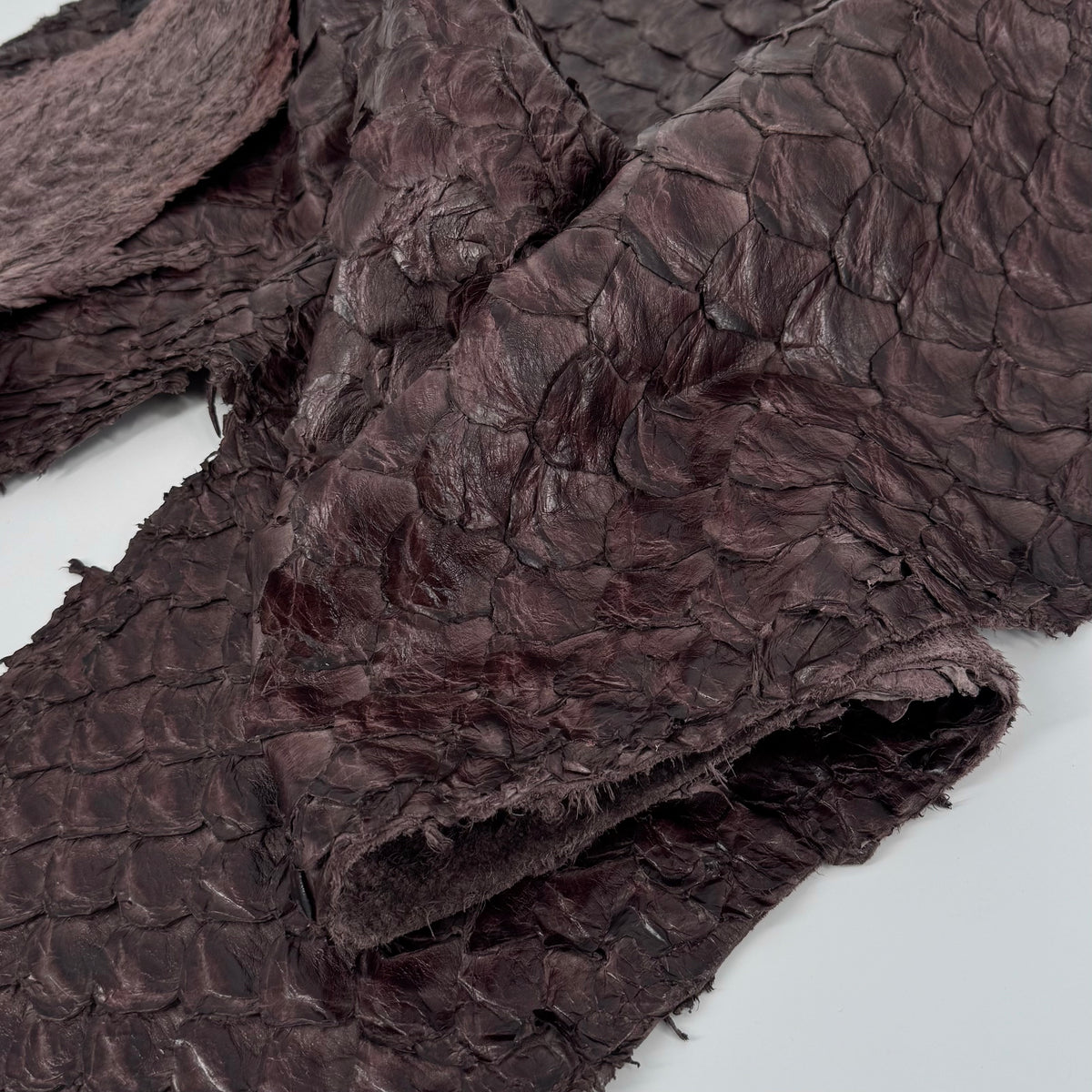 Bitter Plum Pirarucu Fish Leather
