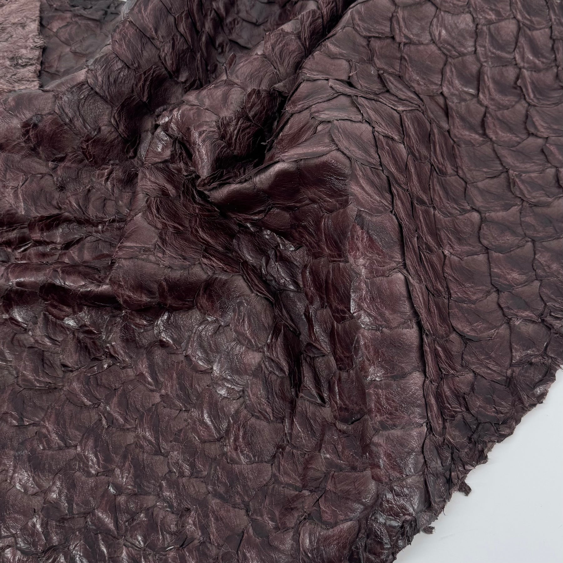 Bitter Plum Pirarucu Fish Leather