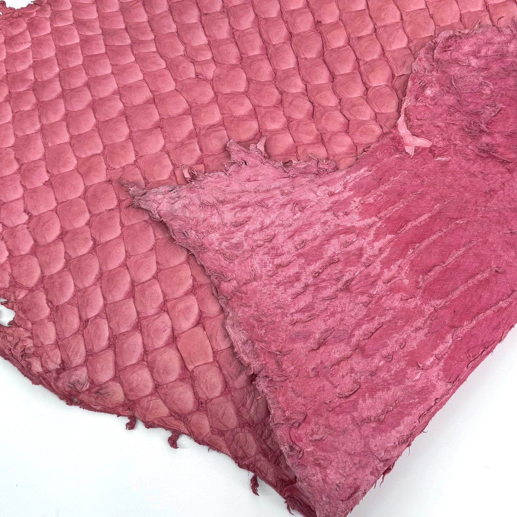 Pink Pirarucu Fish Leather