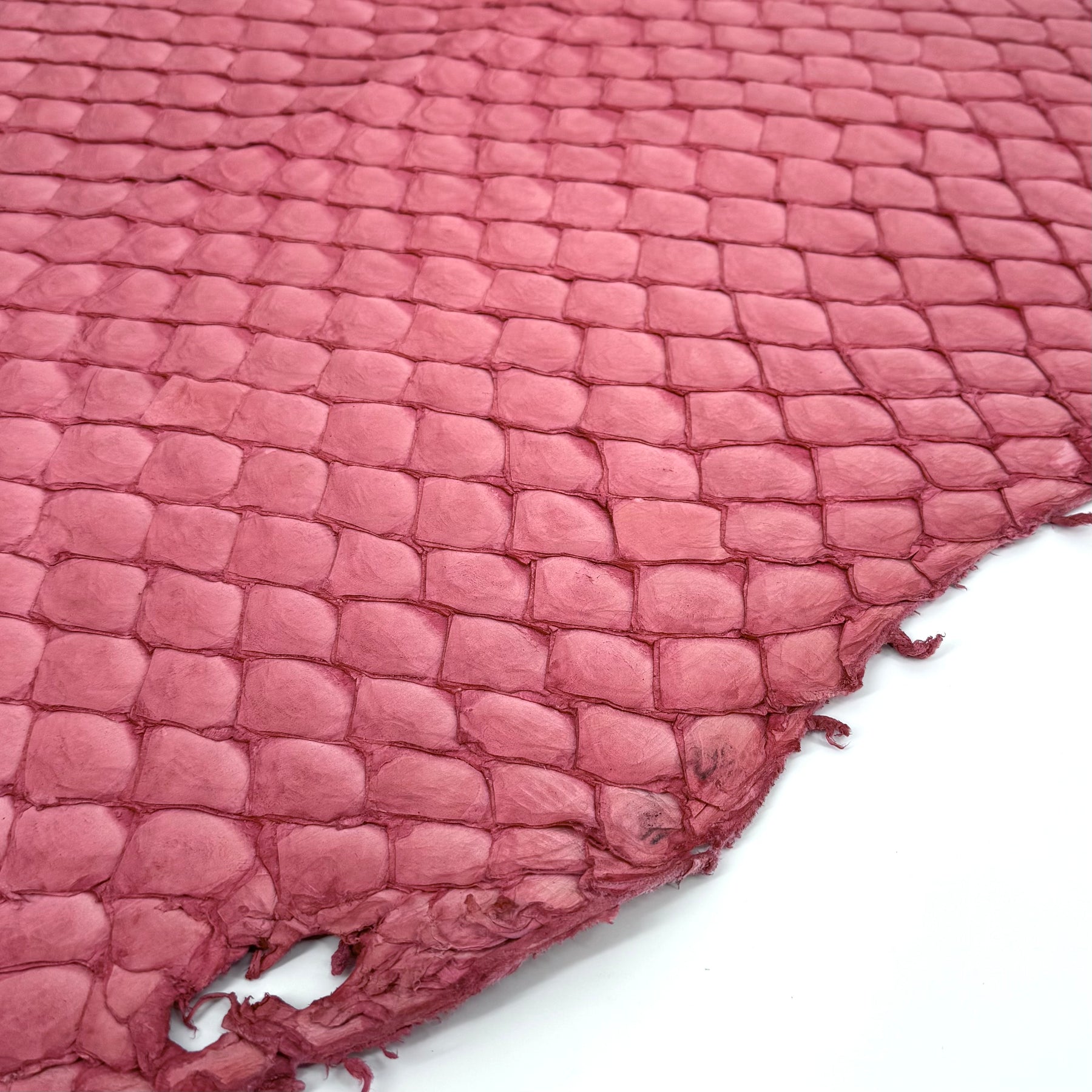 Pink Pirarucu Fish Leather