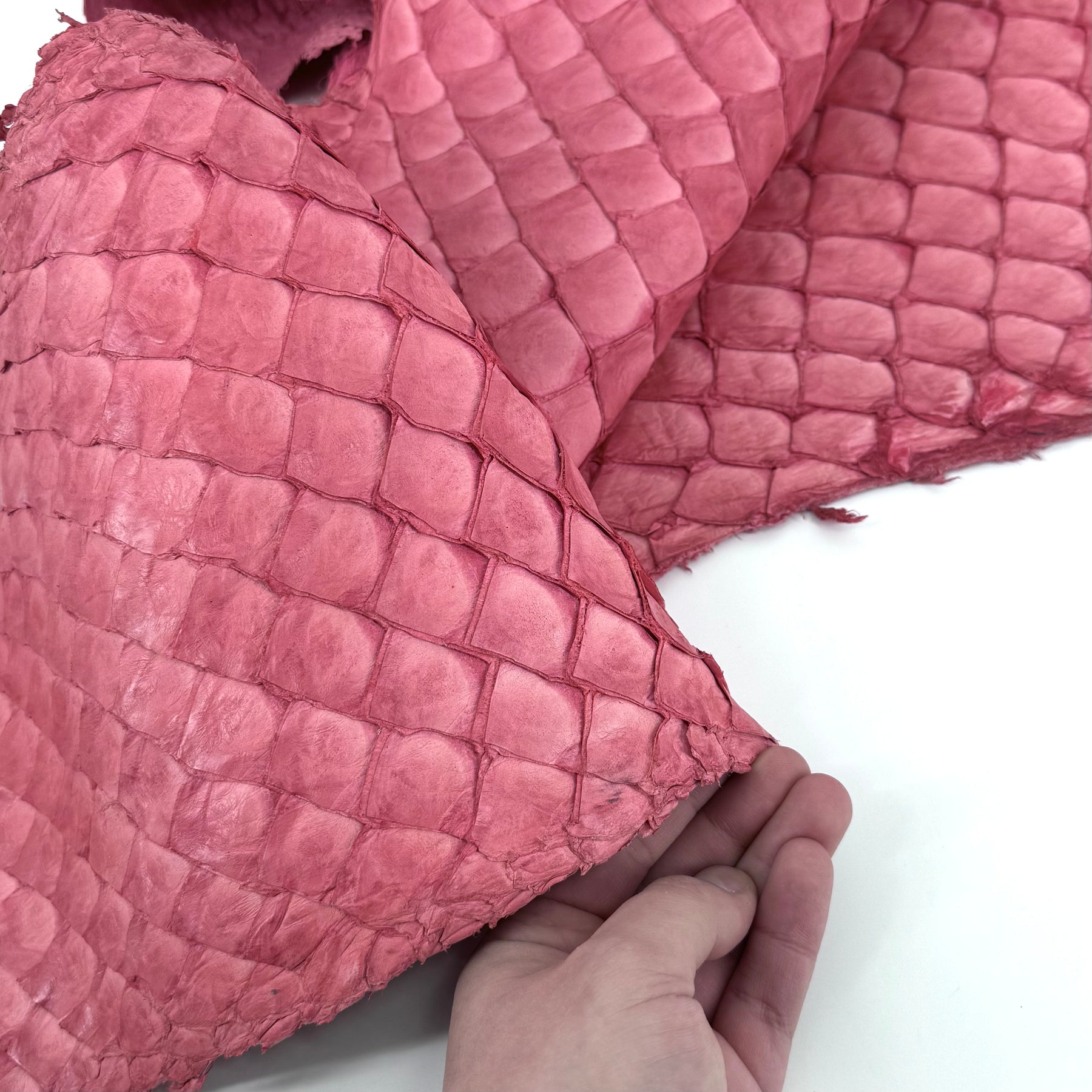 Pink Pirarucu Fish Leather