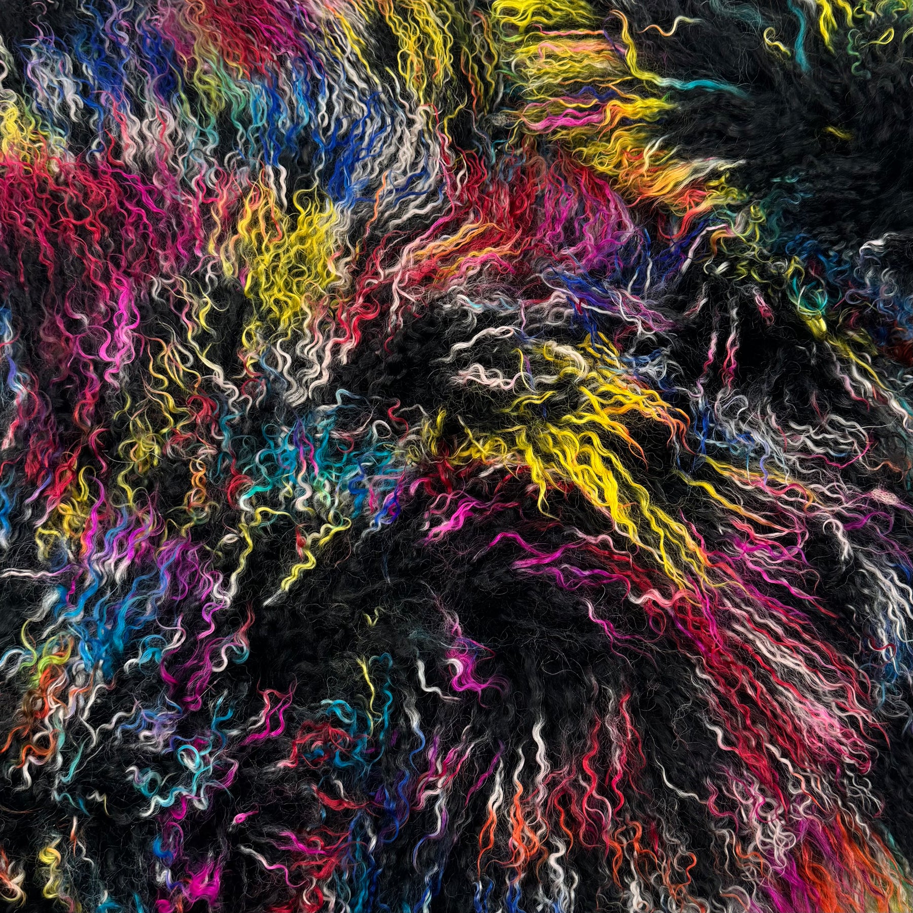 Rainbow Mongolian Curly Lamb Plate | Limited Stock