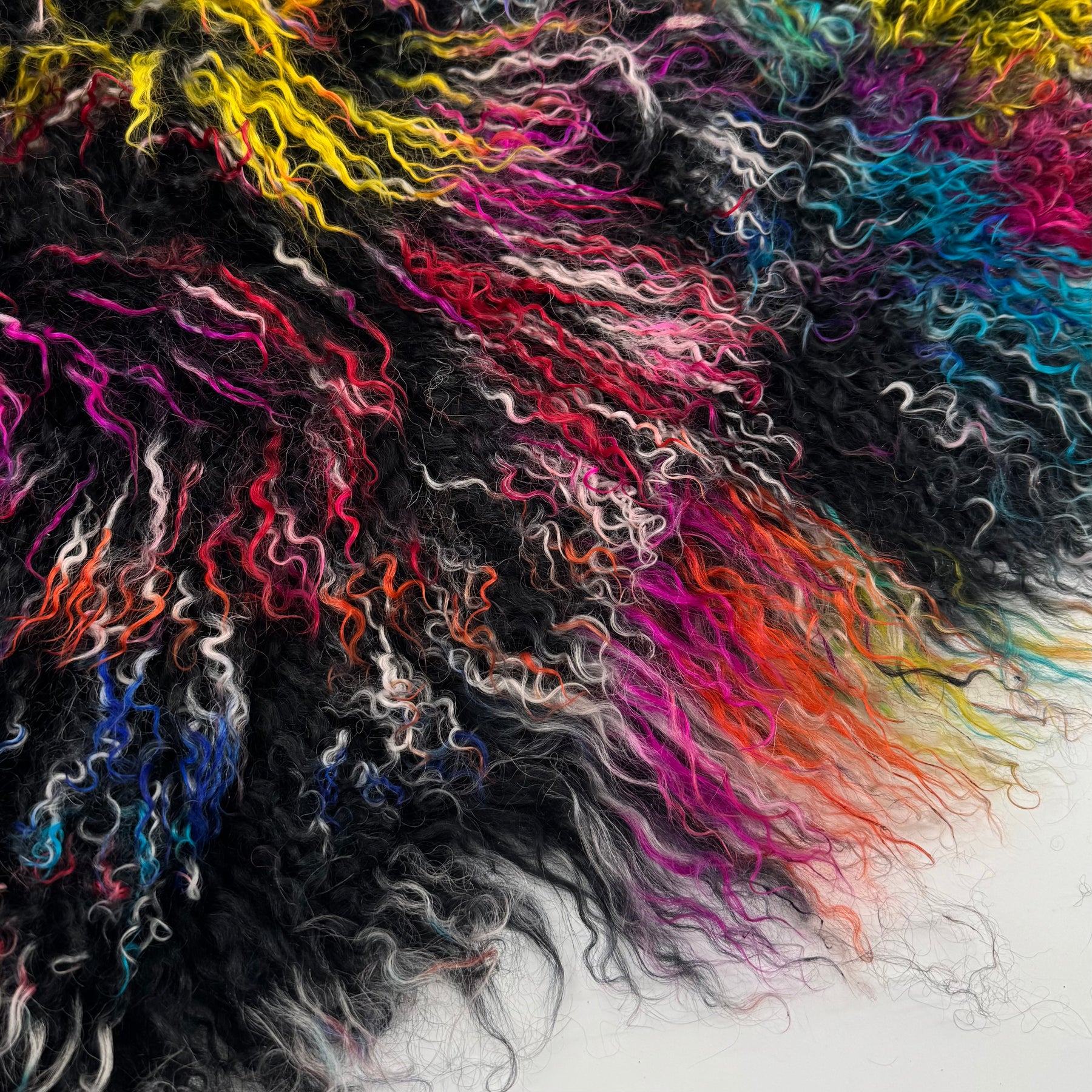 Rainbow Mongolian Curly Lamb Plate | Limited Stock