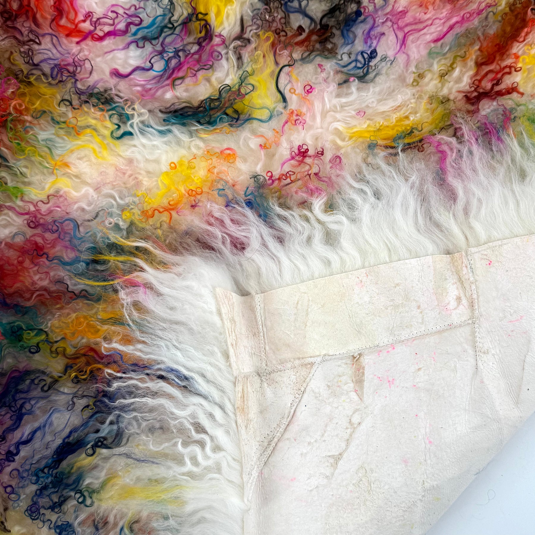 Rainbow Mongolian Curly Lamb Plate | Limited Stock