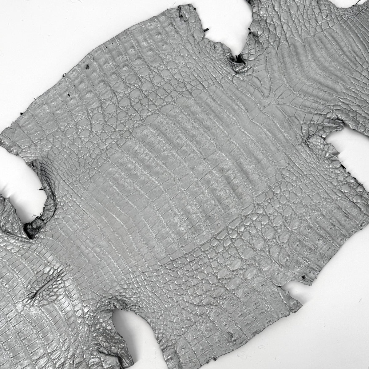 Matte Silver Caiman Crocodile | SALE