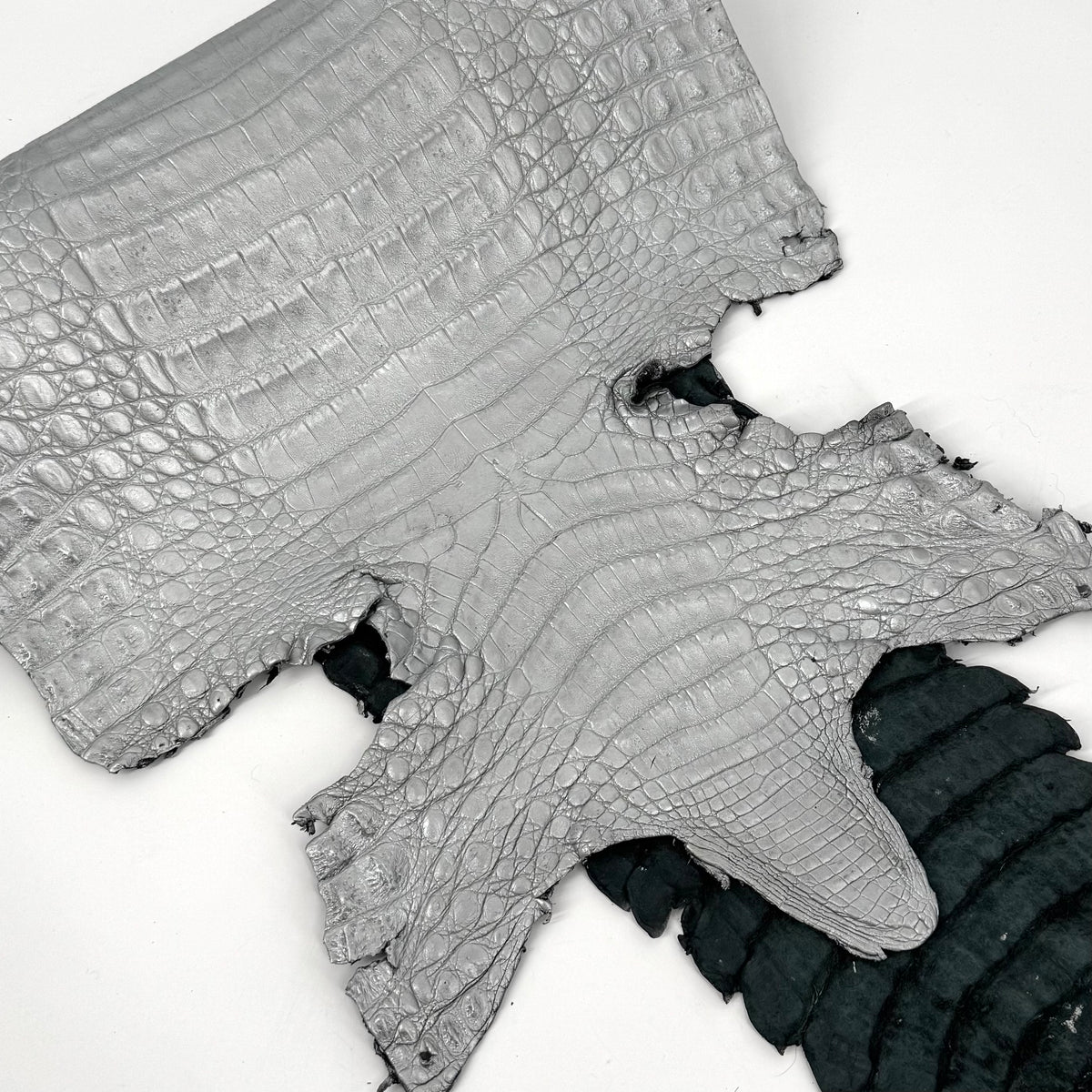 Matte Silver Caiman Crocodile | SALE