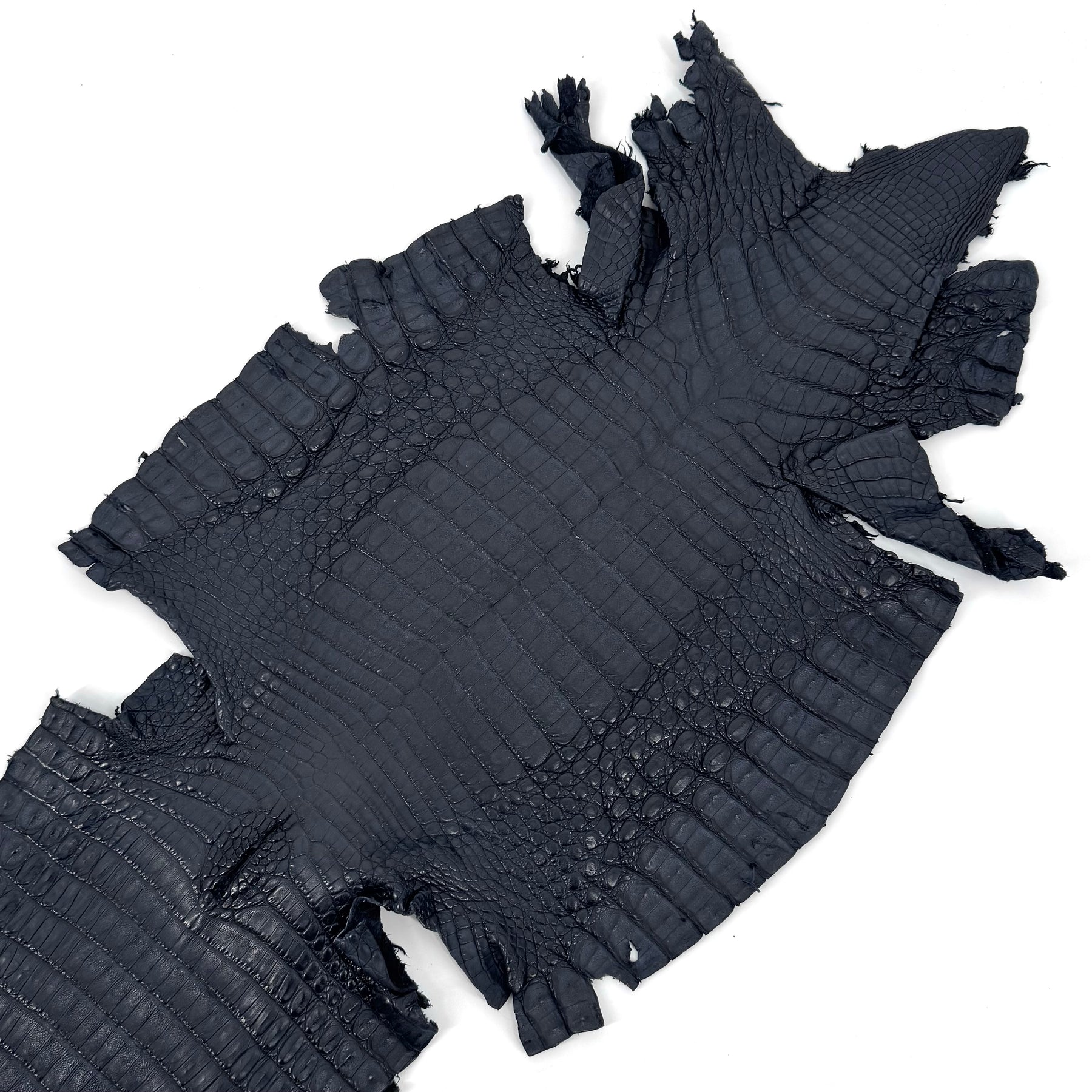 Navy Caiman Crocodile - Only 20 SKINS available | SALE