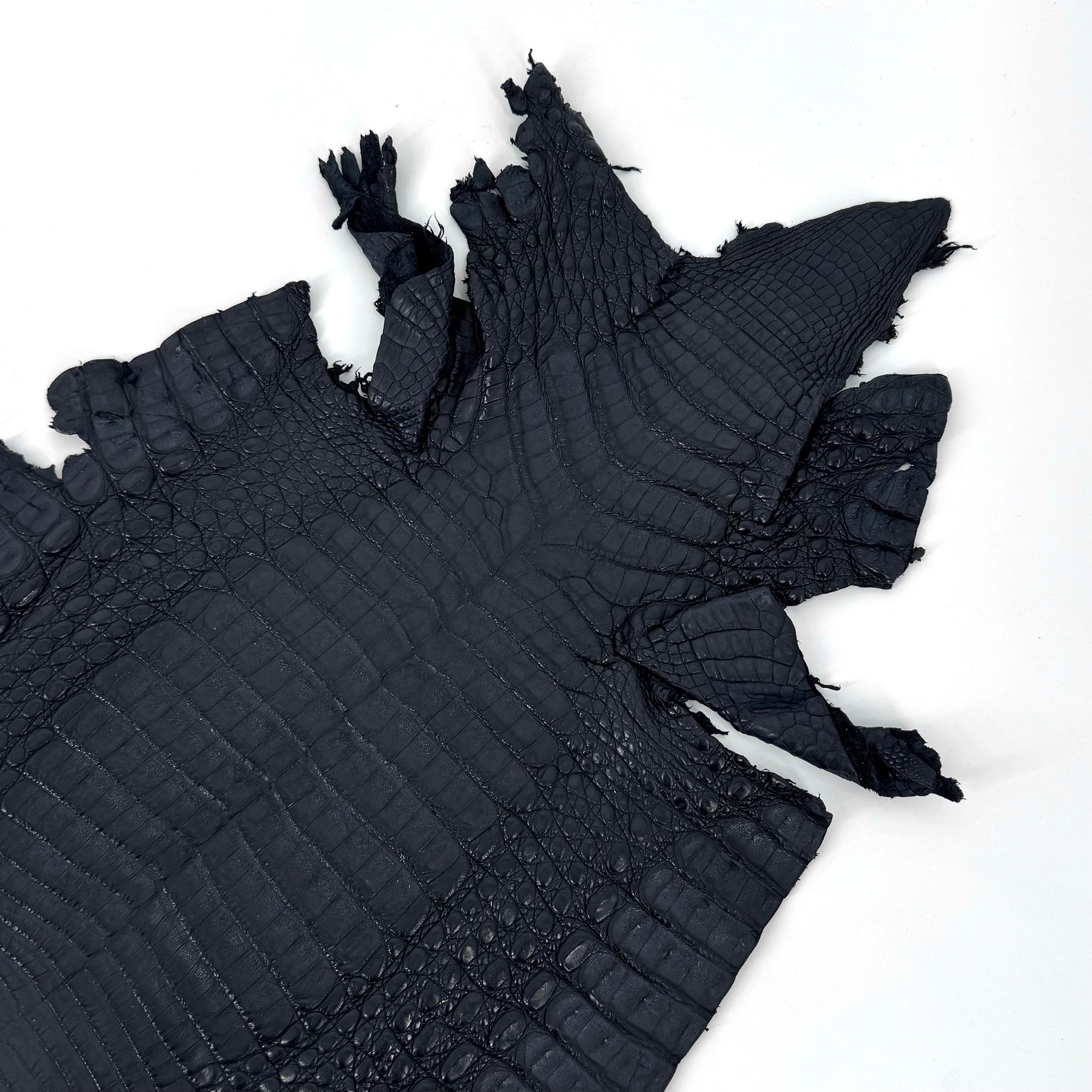 Navy Caiman Crocodile - Only 20 SKINS available | SALE