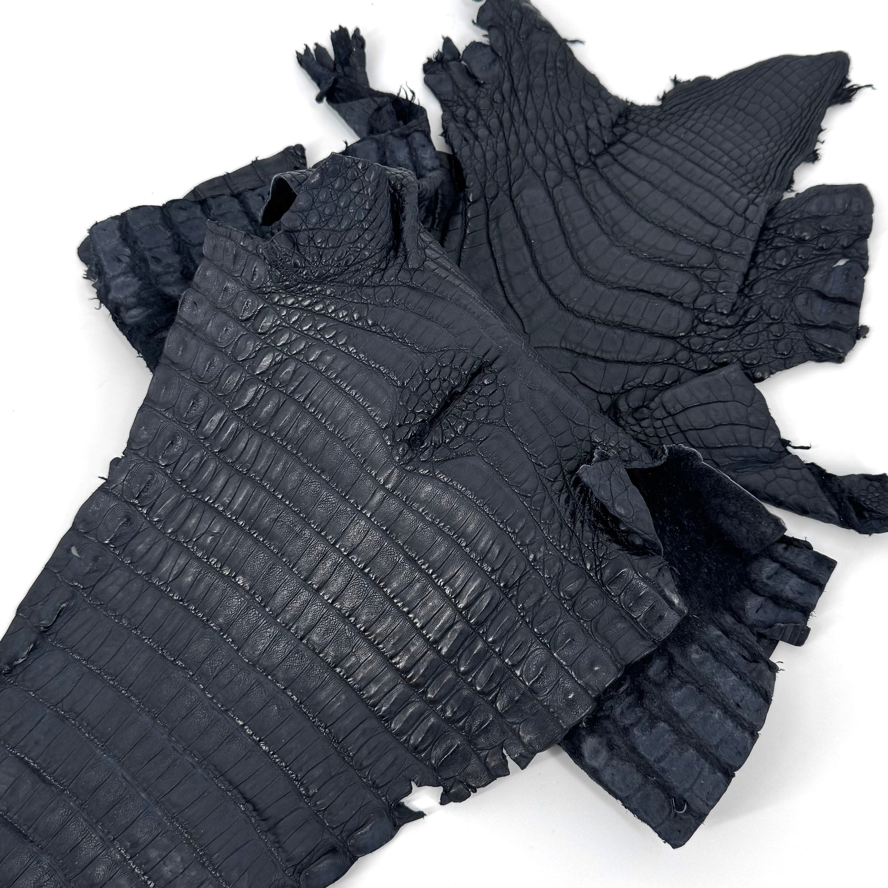 Navy Caiman Crocodile - Only 20 SKINS available | SALE