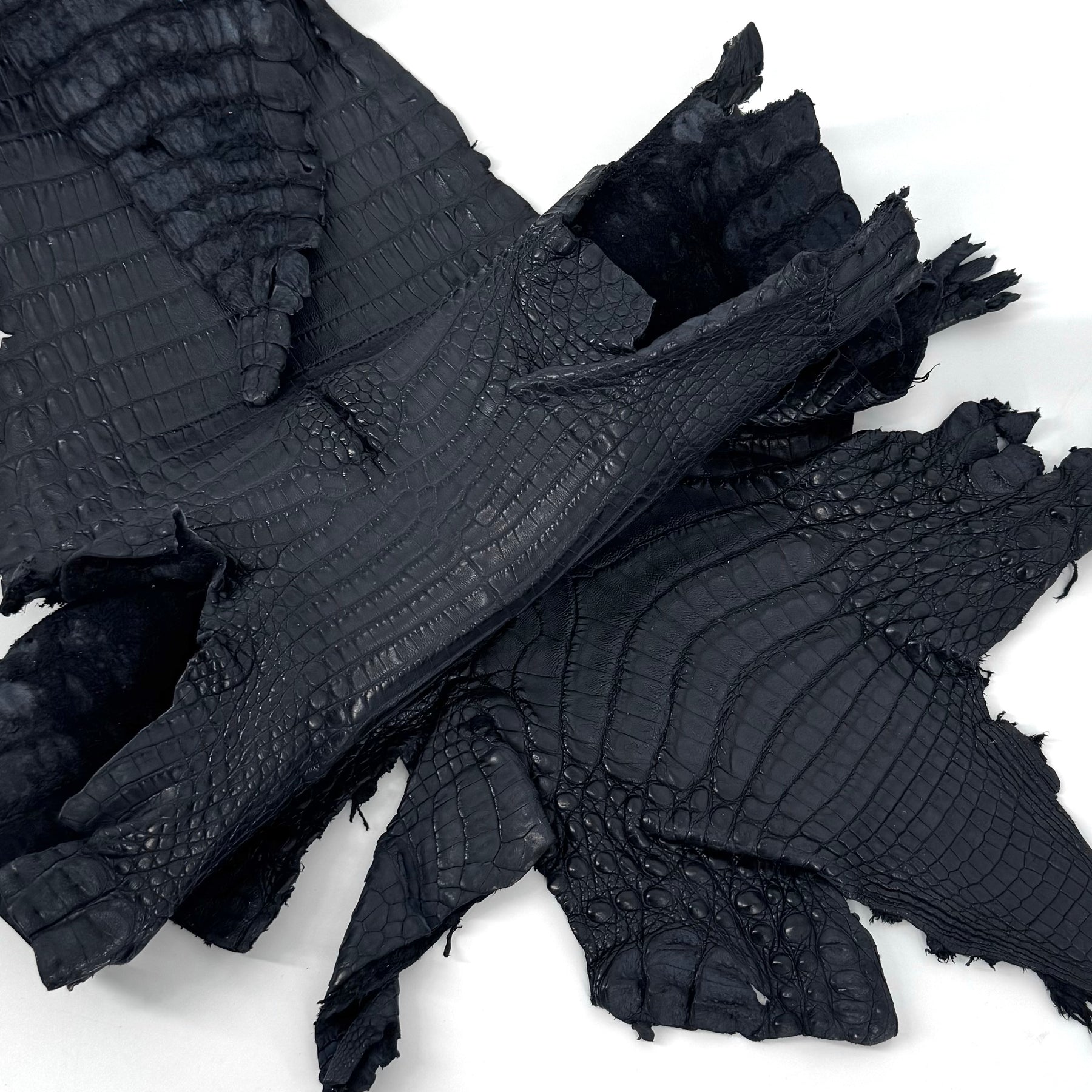 Navy Caiman Crocodile - Only 20 SKINS available | SALE