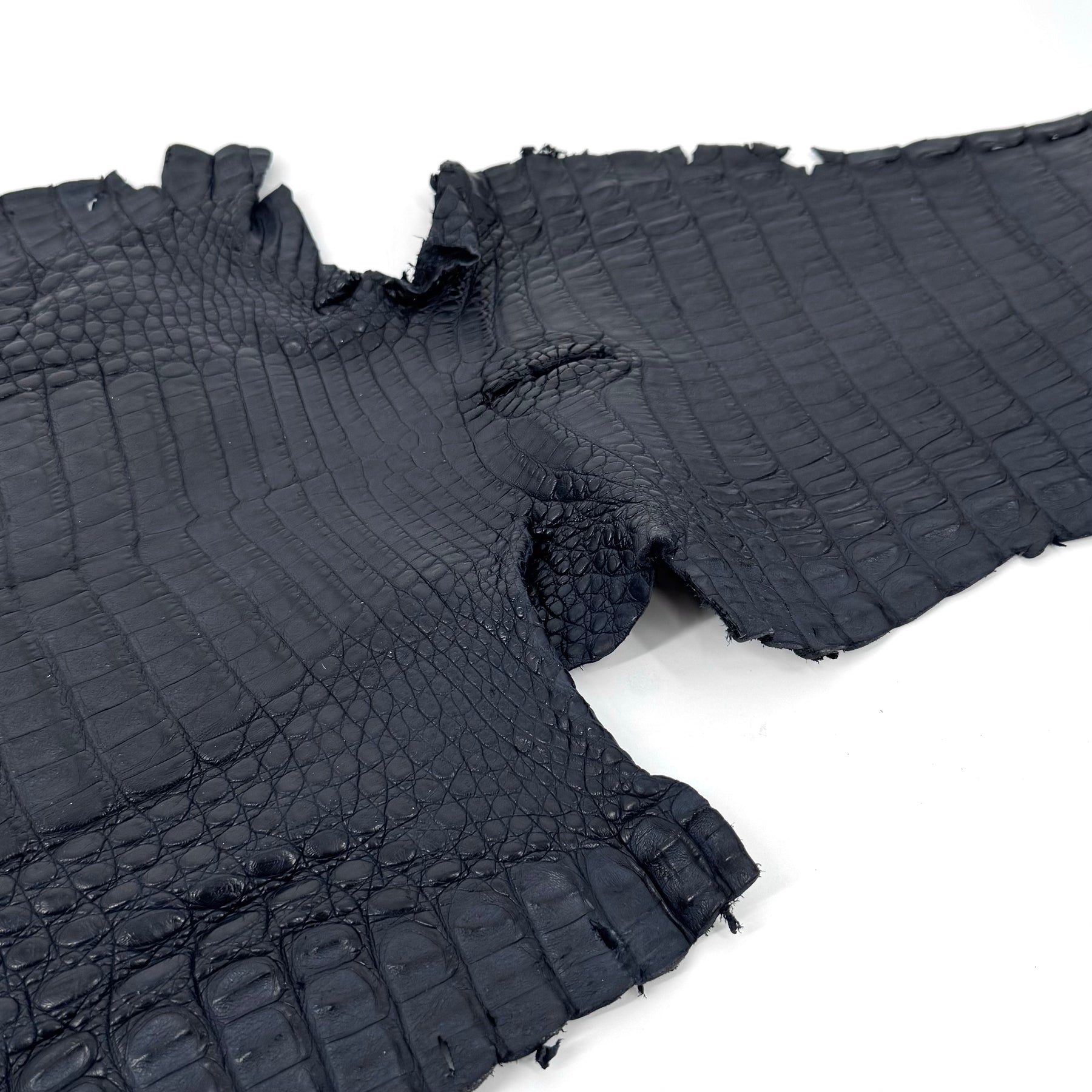 Navy Caiman Crocodile - Only 20 SKINS available | SALE