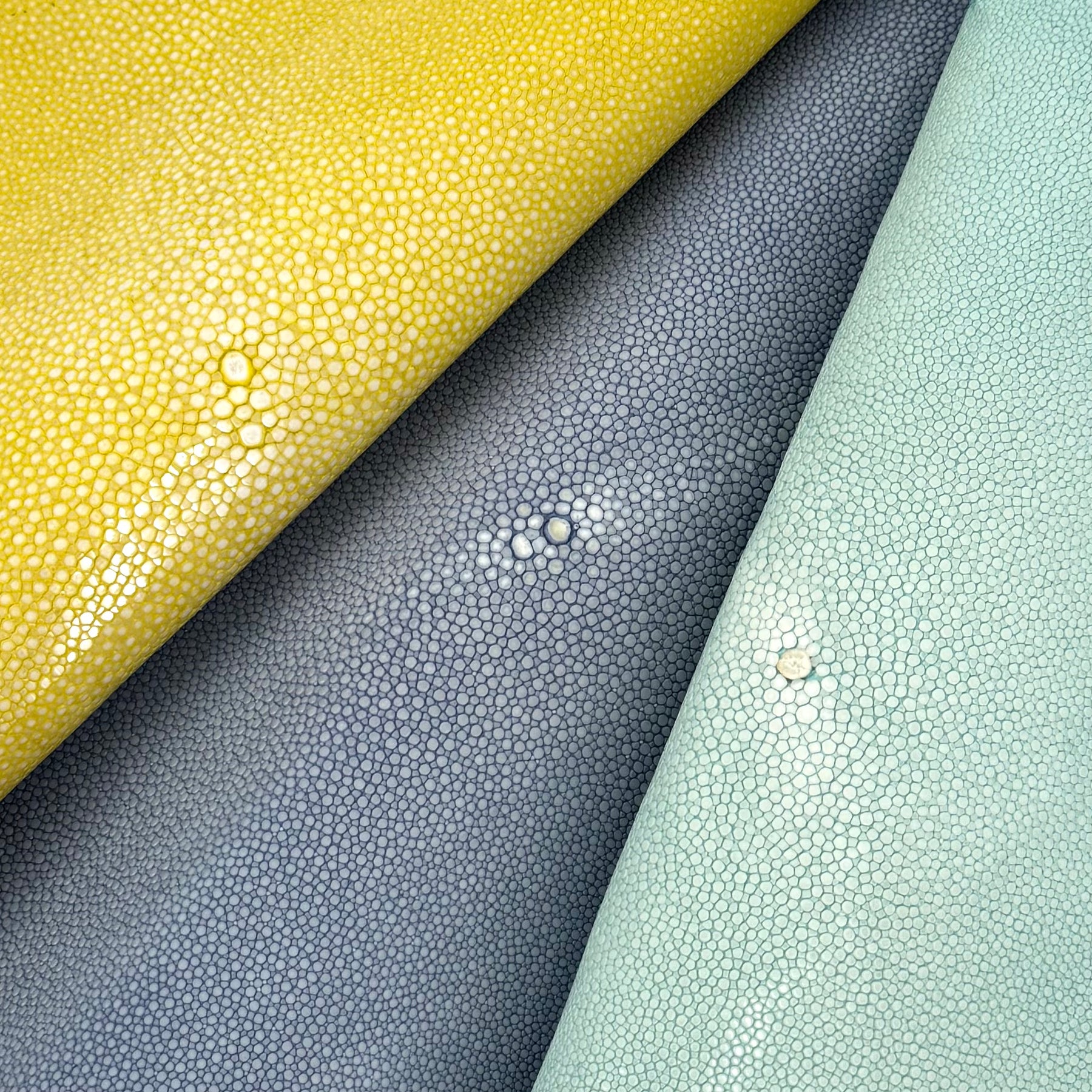 Pastel Sanded/Polished Stingray
