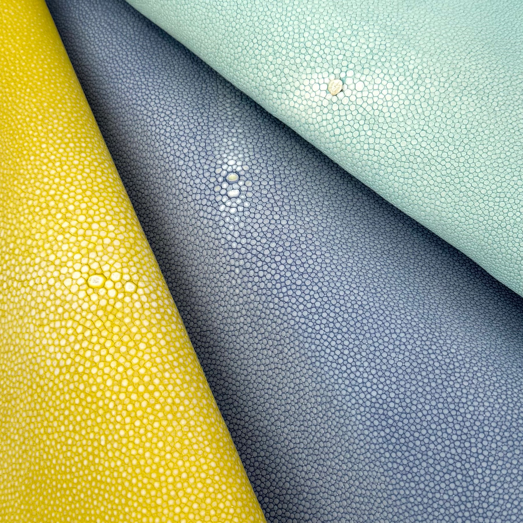 Pastel Sanded/Polished Stingray