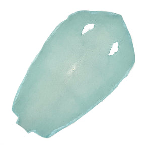 Pastel Sanded/Polished Stingray
