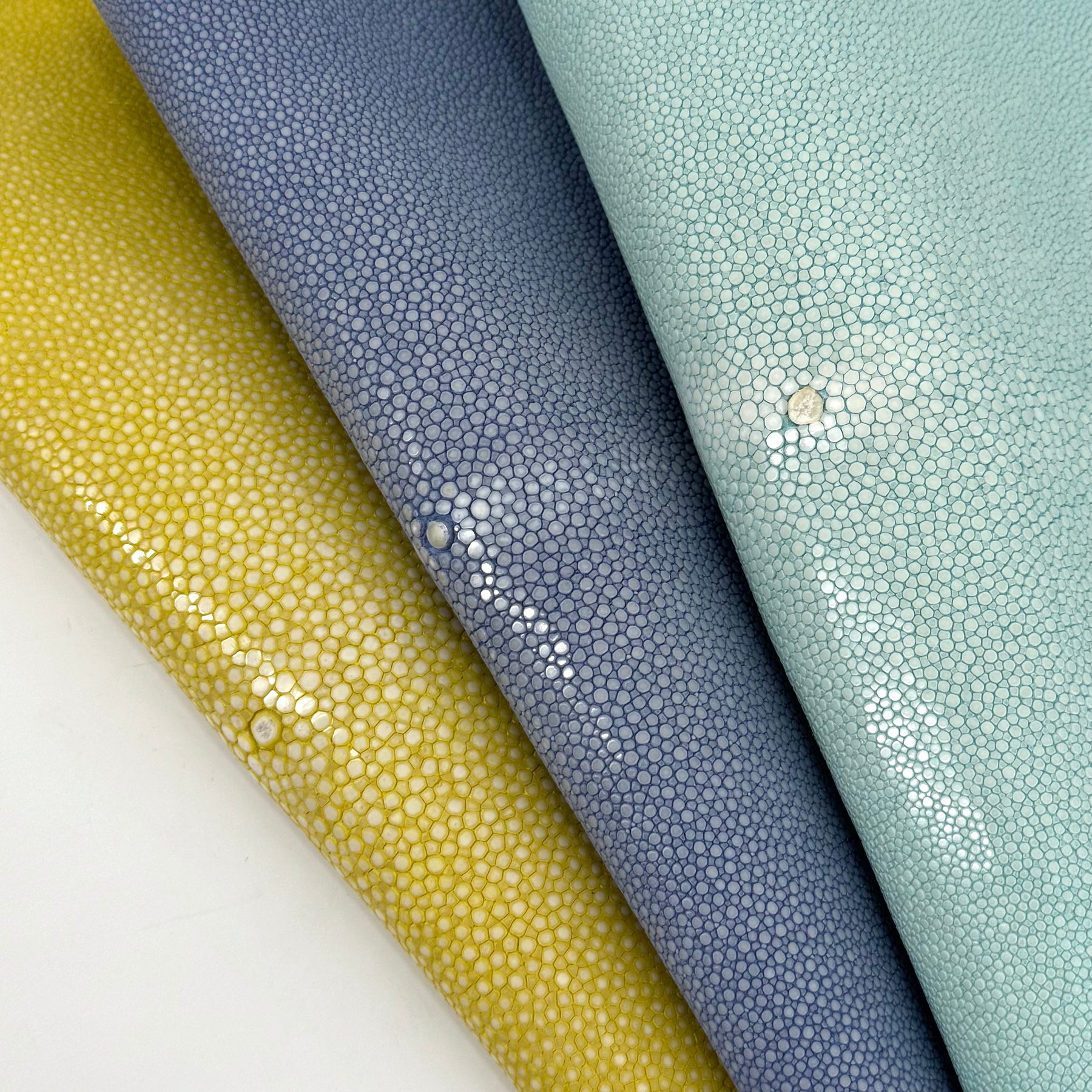 Pastel Sanded/Polished Stingray