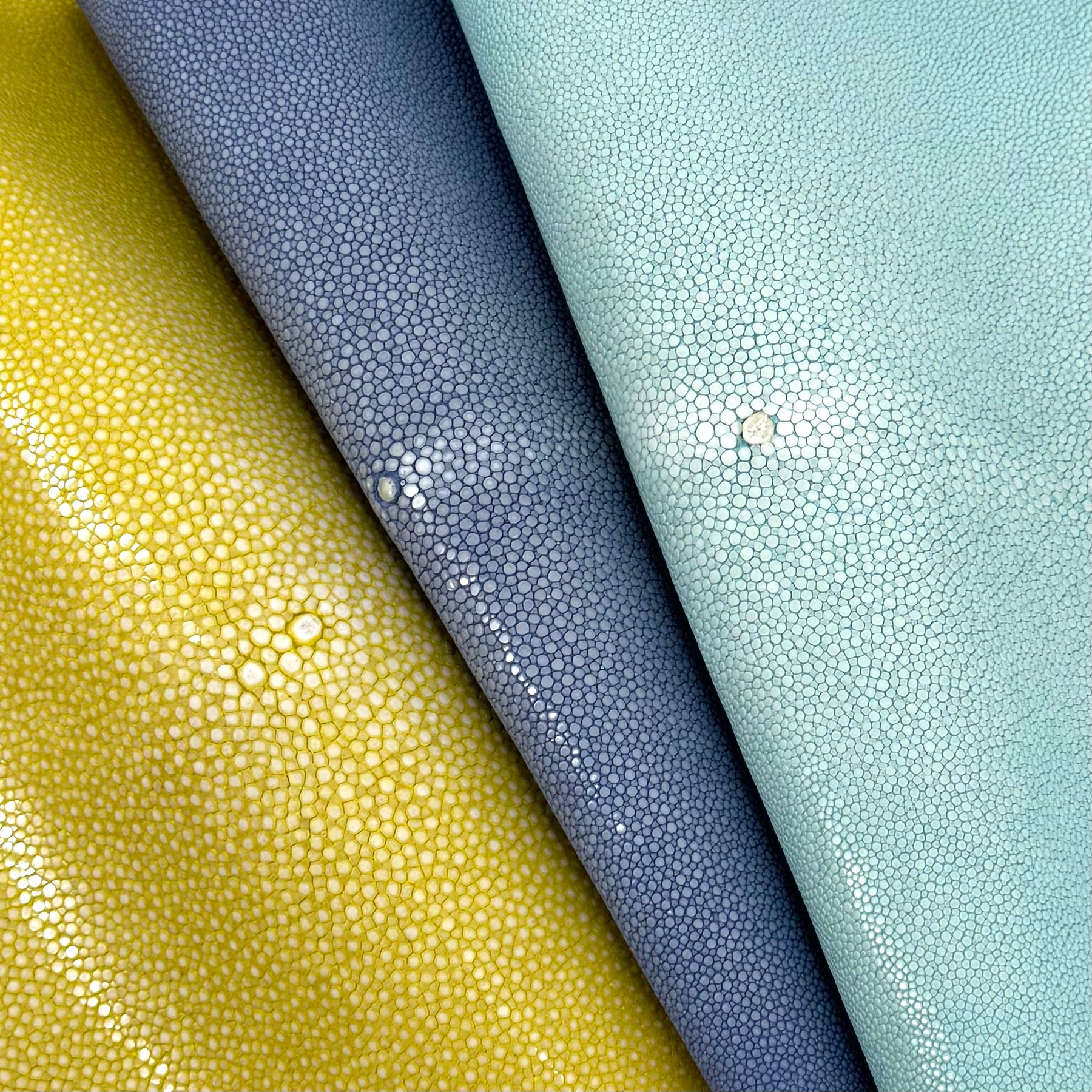 Pastel Sanded/Polished Stingray