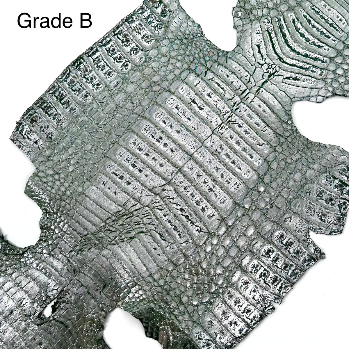 Metallic Caiman Crocodile - only 5 per color | Sale