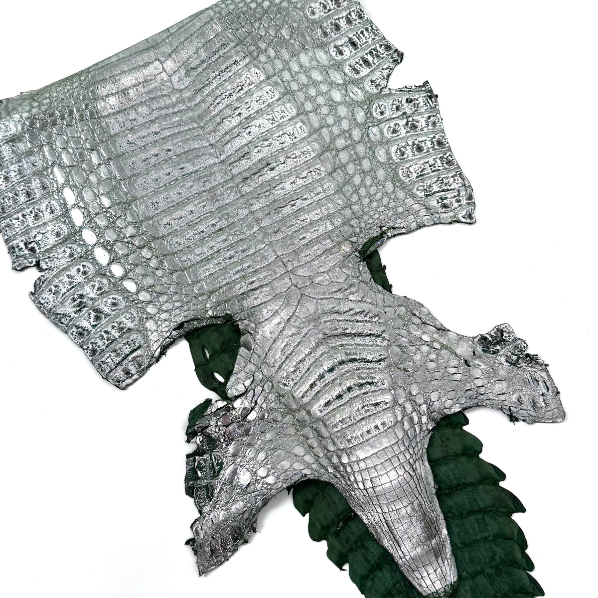 Metallic Caiman Crocodile - only 5 per color | Sale