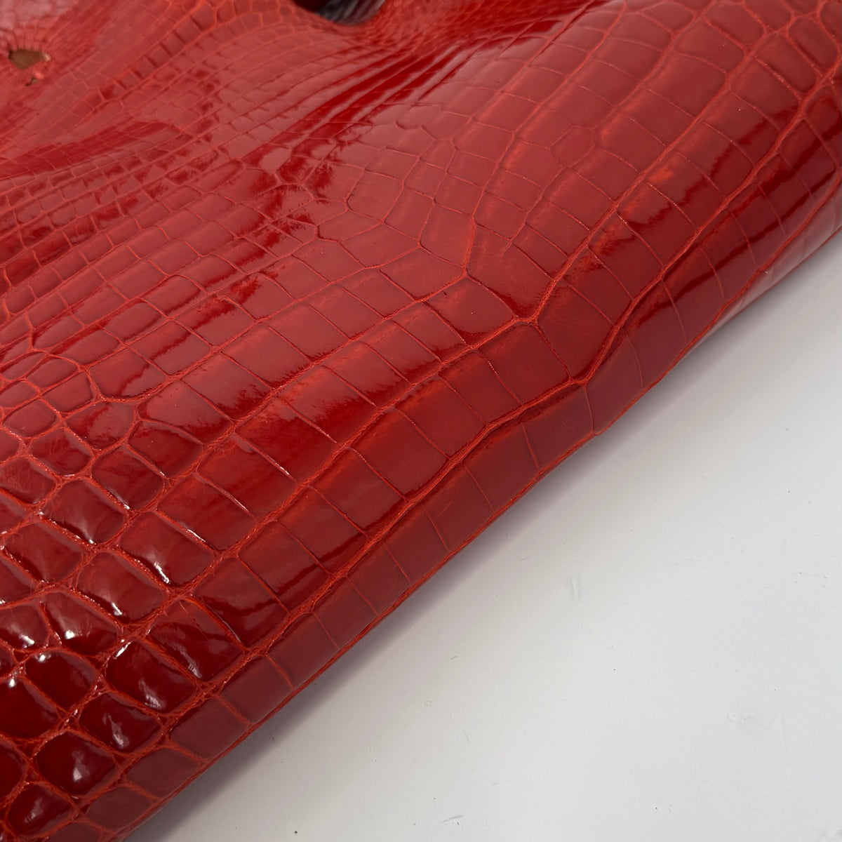 Glazed American Alligator in Crimson Red/Orange | 41 cm