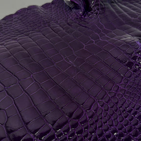 Glazed Wild American Alligator in Purple | 38 cm