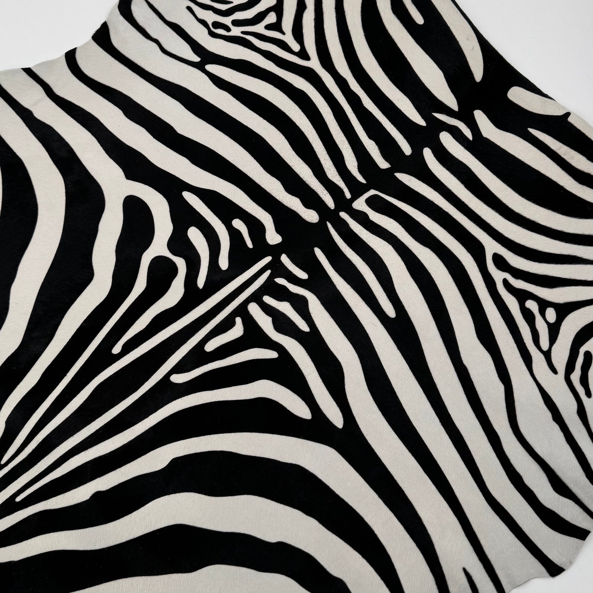Short Hair Black & White Zebra Cavalino | 10% Off