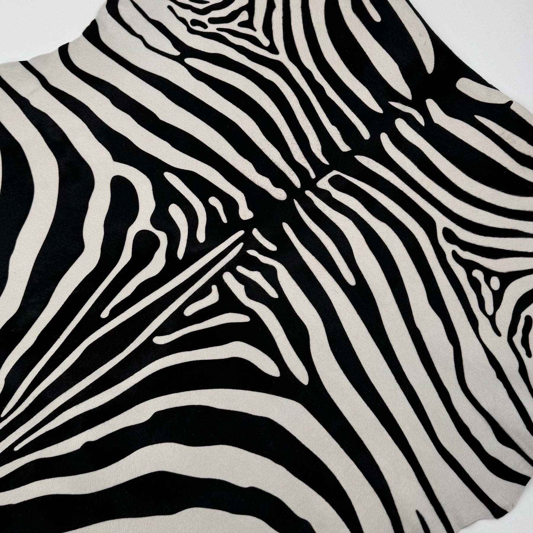 Short Hair Black & White Zebra Cavalino | 10% Off