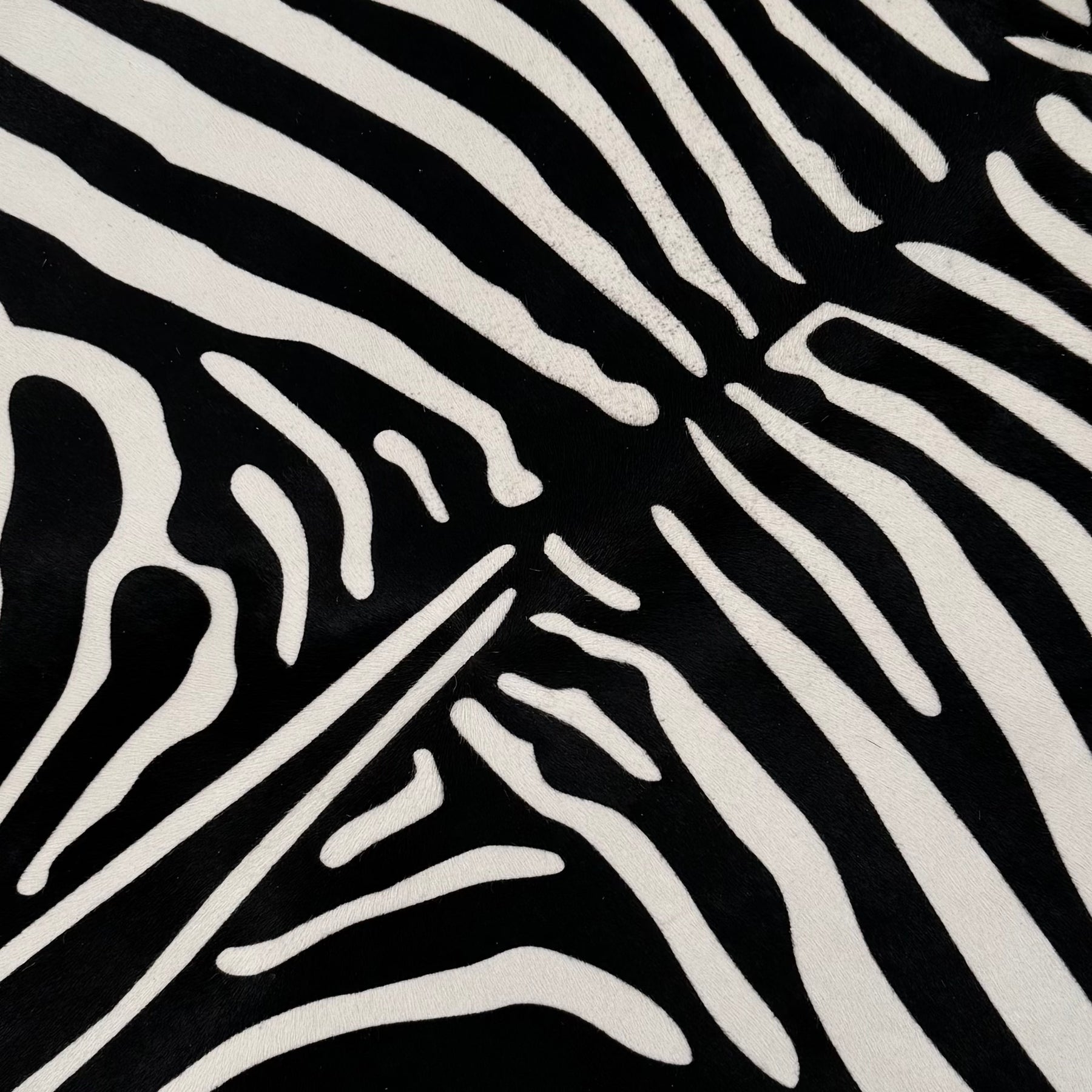Short Hair Black & White Zebra Cavalino | 10% Off
