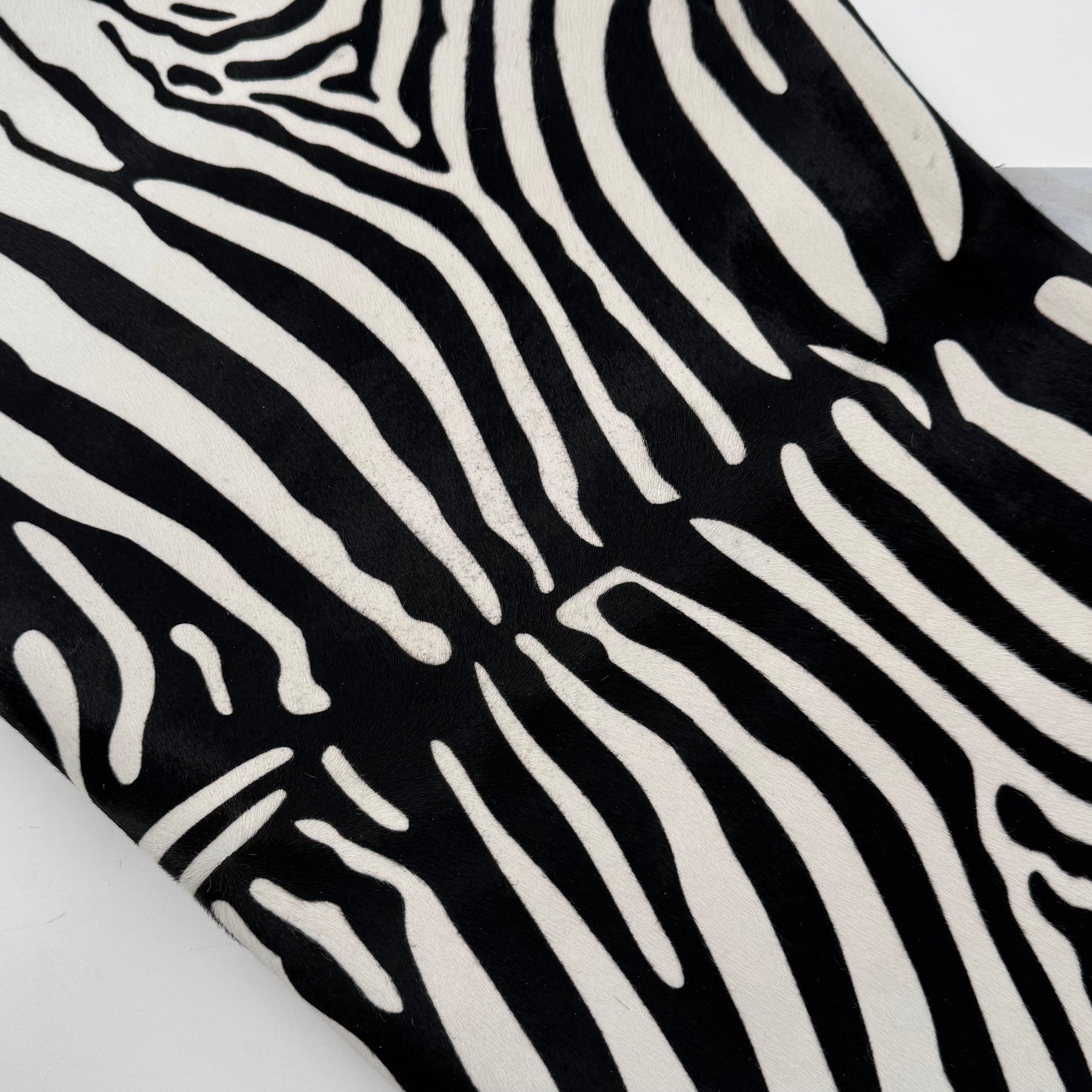 Short Hair Black & White Zebra Cavalino | 10% Off