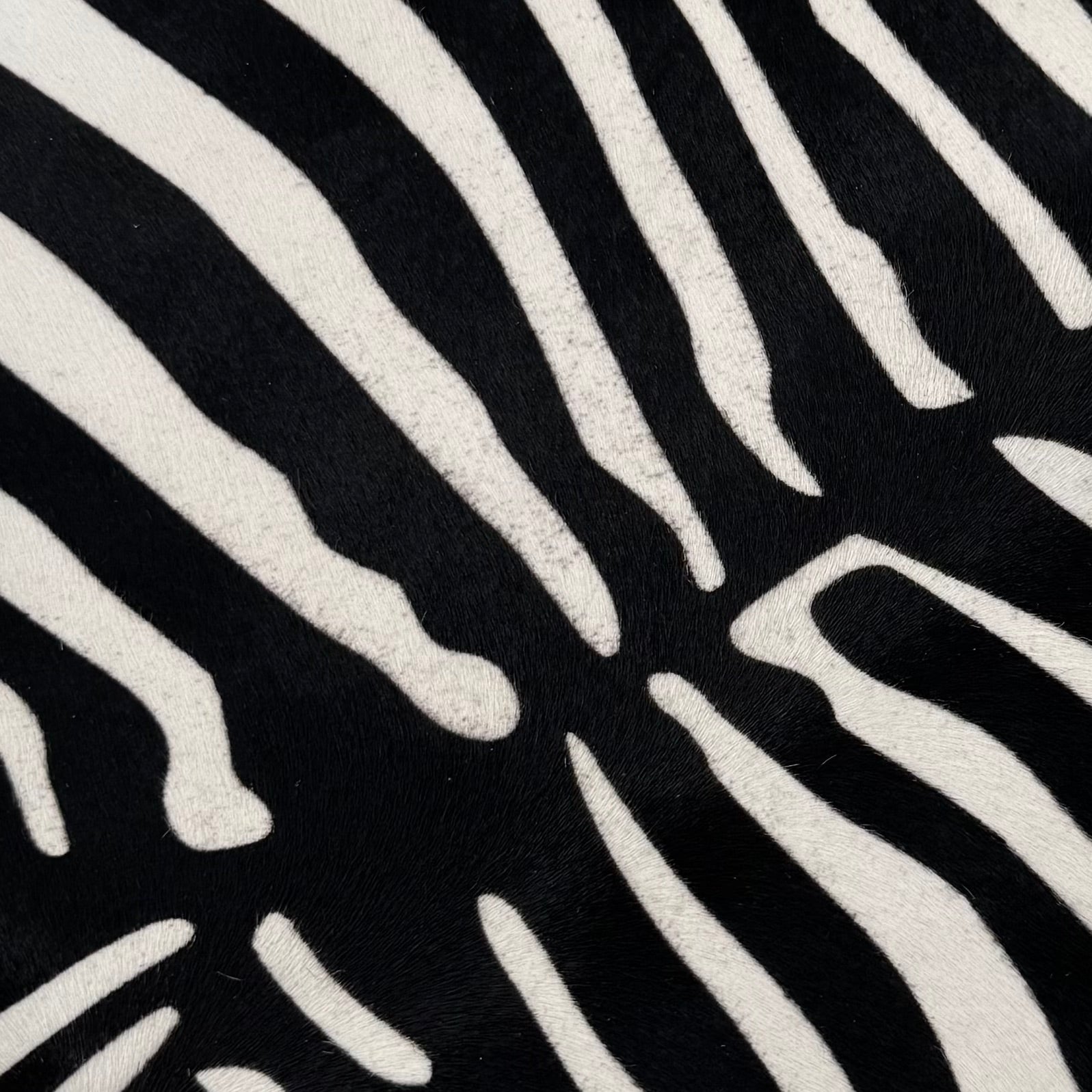 Short Hair Black & White Zebra Cavalino | 10% Off