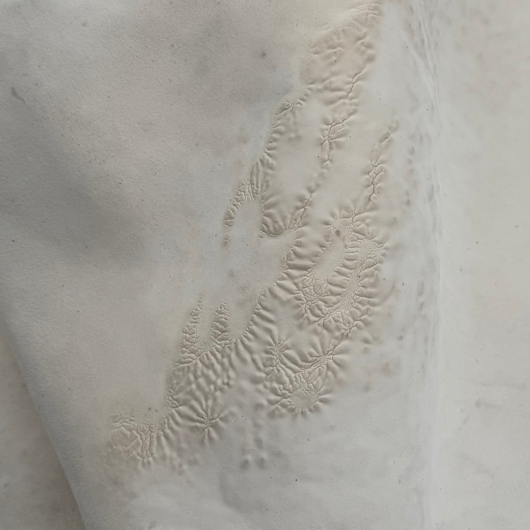 Crude Culatta Horse Double Butt Hide