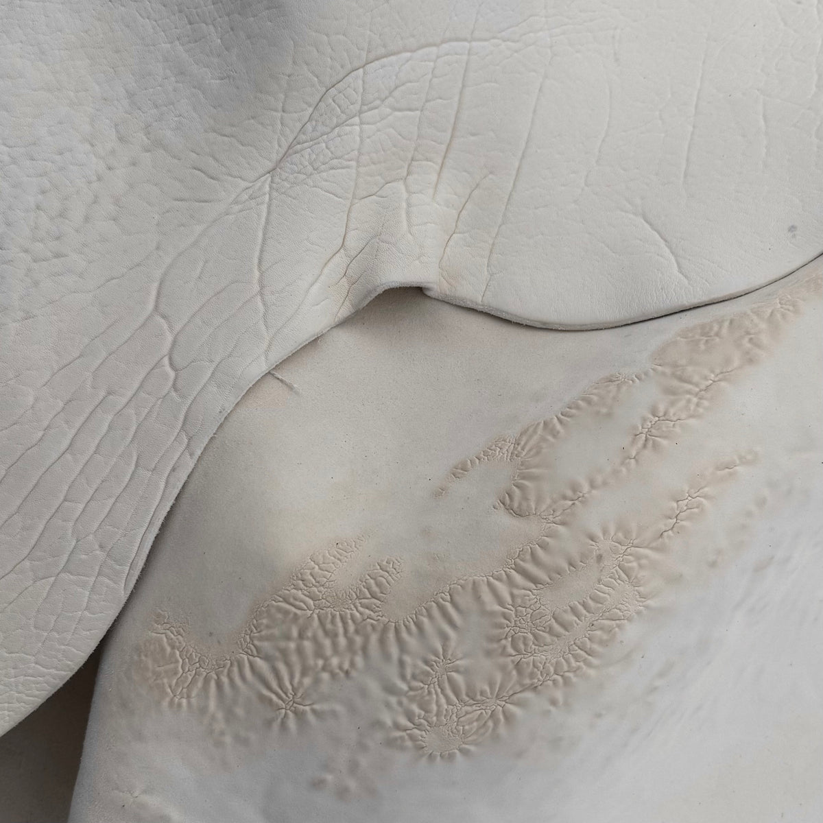 Crude Culatta Horse Double Butt Hide