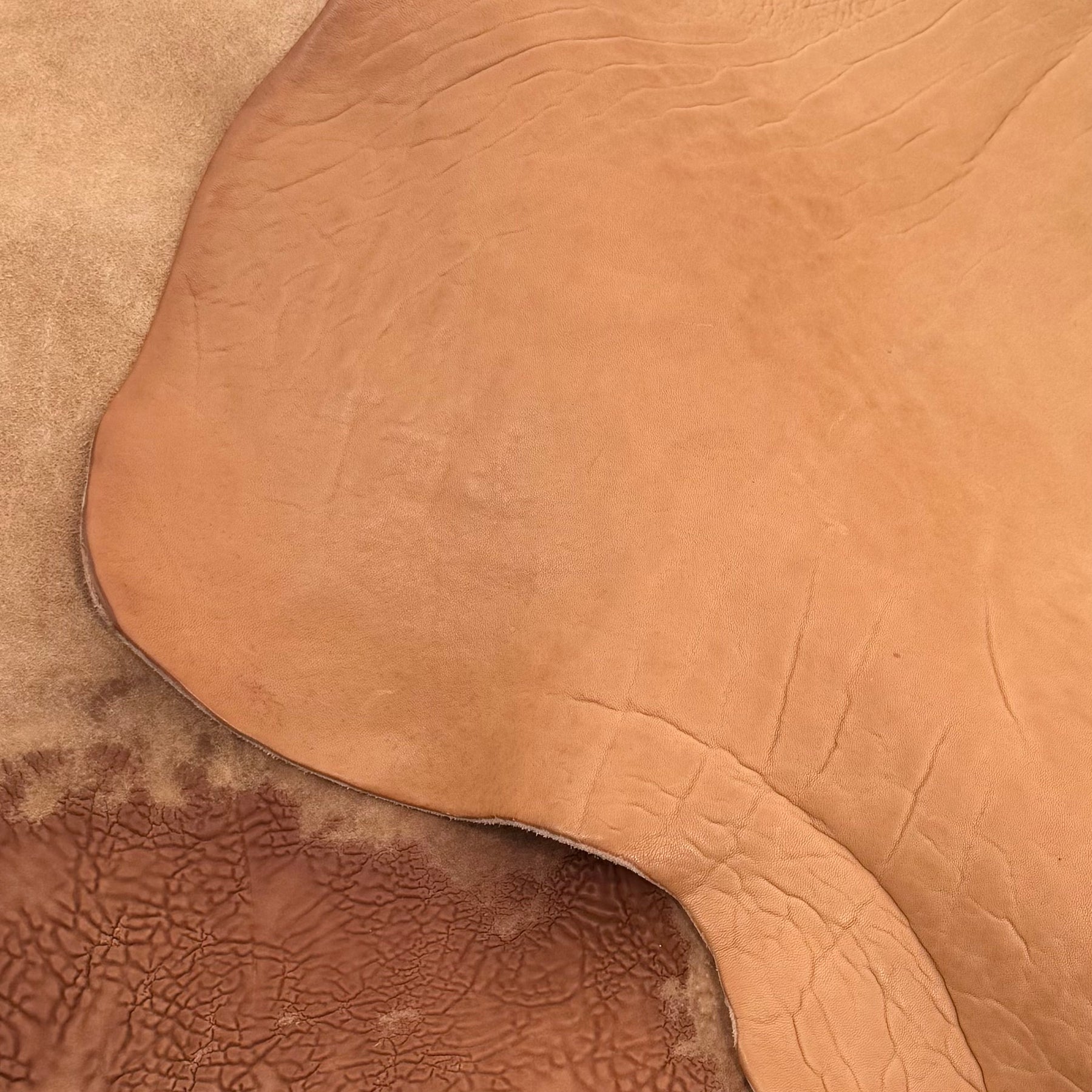 Crude Culatta Horse Double Butt Hide